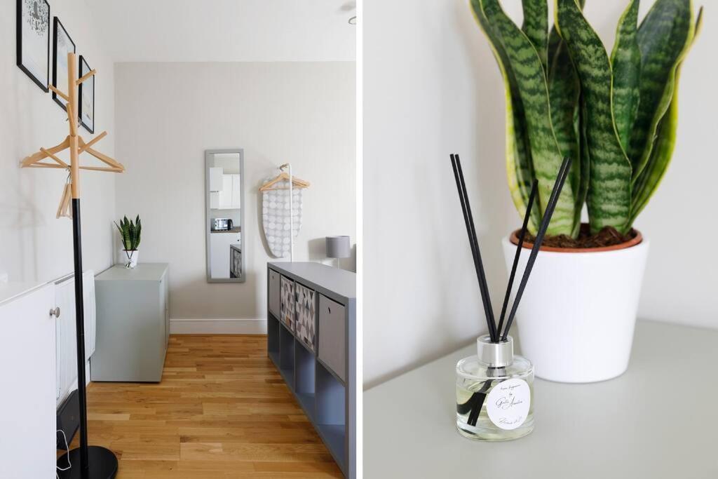 Cosy Studio Flat Moments From The Beach, Kemptown Μπράιτον Εξωτερικό φωτογραφία